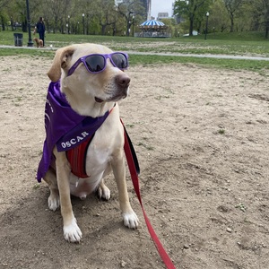 Fundraising Page: Katie Madigan